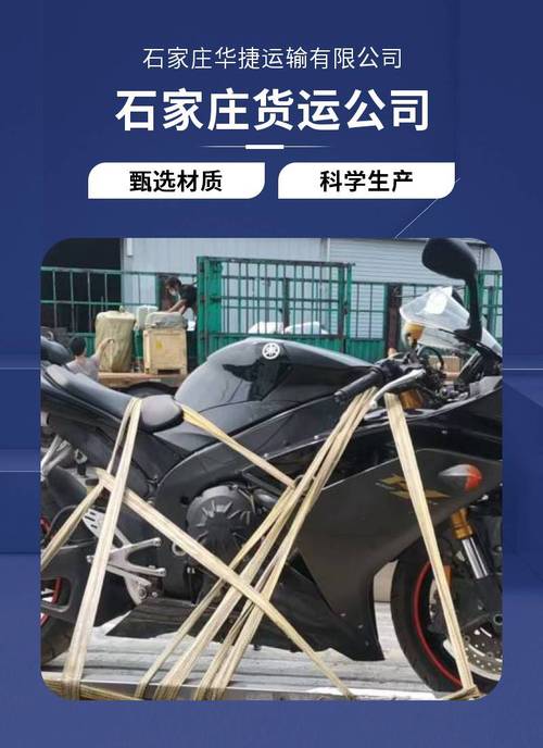 货物仓储服务(不含危险化学品等需许可审批的项目);运输货物打包服务